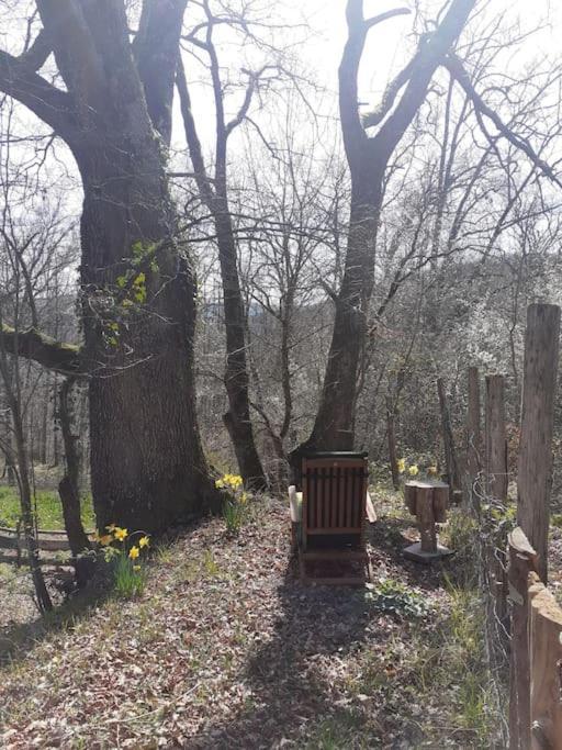 Cosy Cabane Montbrun-Bocage Esterno foto